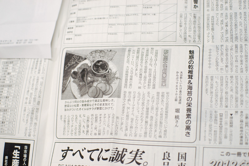 きのこ新聞紙面