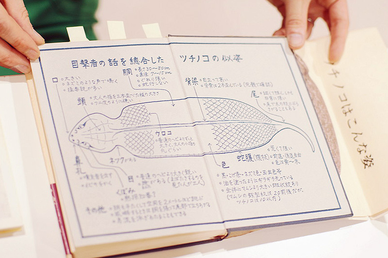 ツチノコ似姿