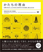 かたちの理由