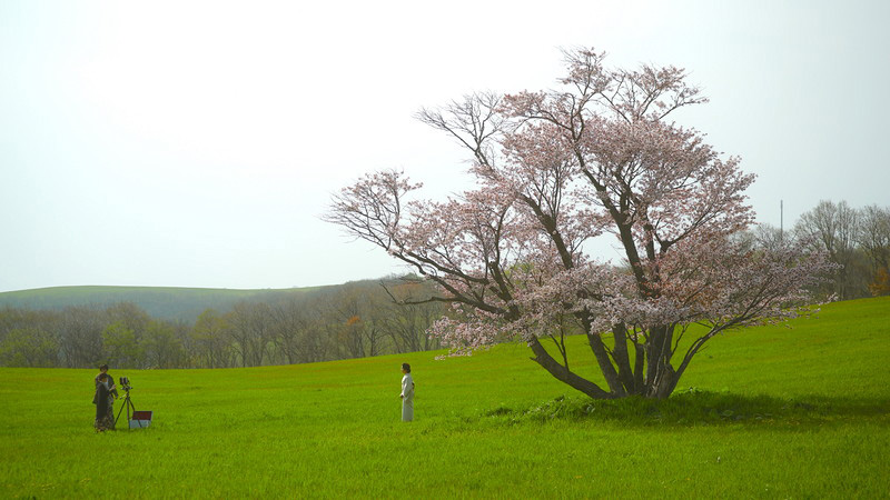 桜