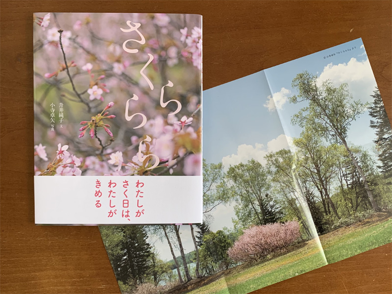 第510回 新刊紹介 写真絵本『さくららら』