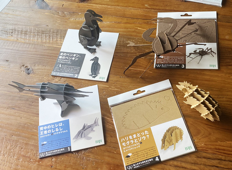《表現を通して生き物を考える》同館のコンセプトがそのまま具現化されています