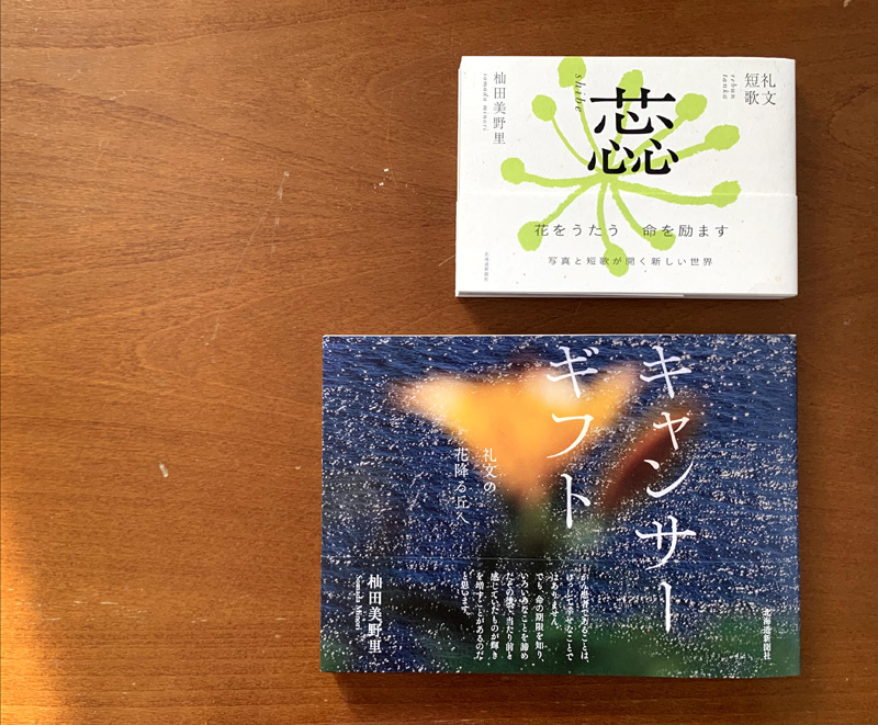 「キャンサーギフト 礼文の花降る丘へ」と『礼文短歌 蕊』